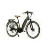 25 Kg Vélo électrique GRANVILLE ABSOLUTE 35 BOSCH Active Line 500Wh 2023 Caméléon